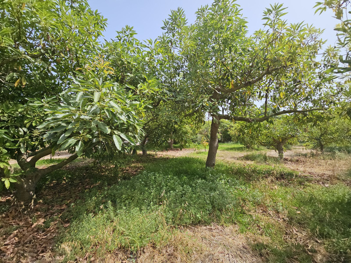 Property main view 17