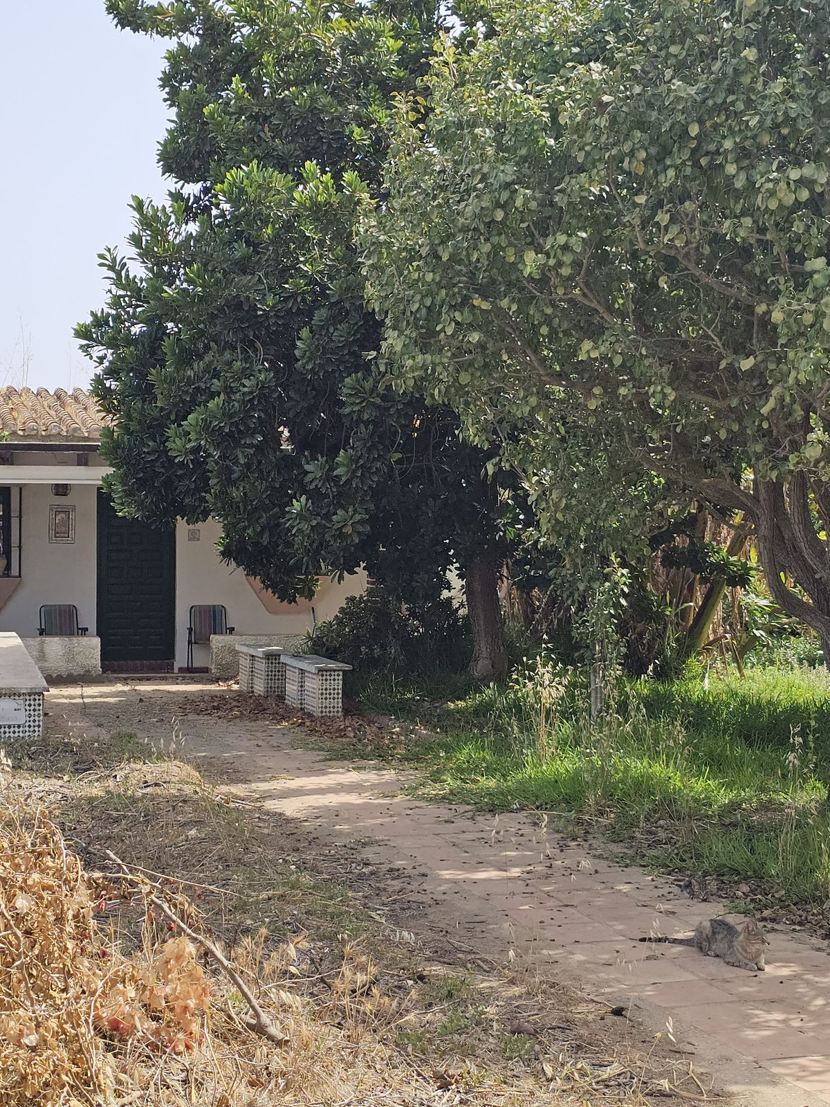Property main view 19