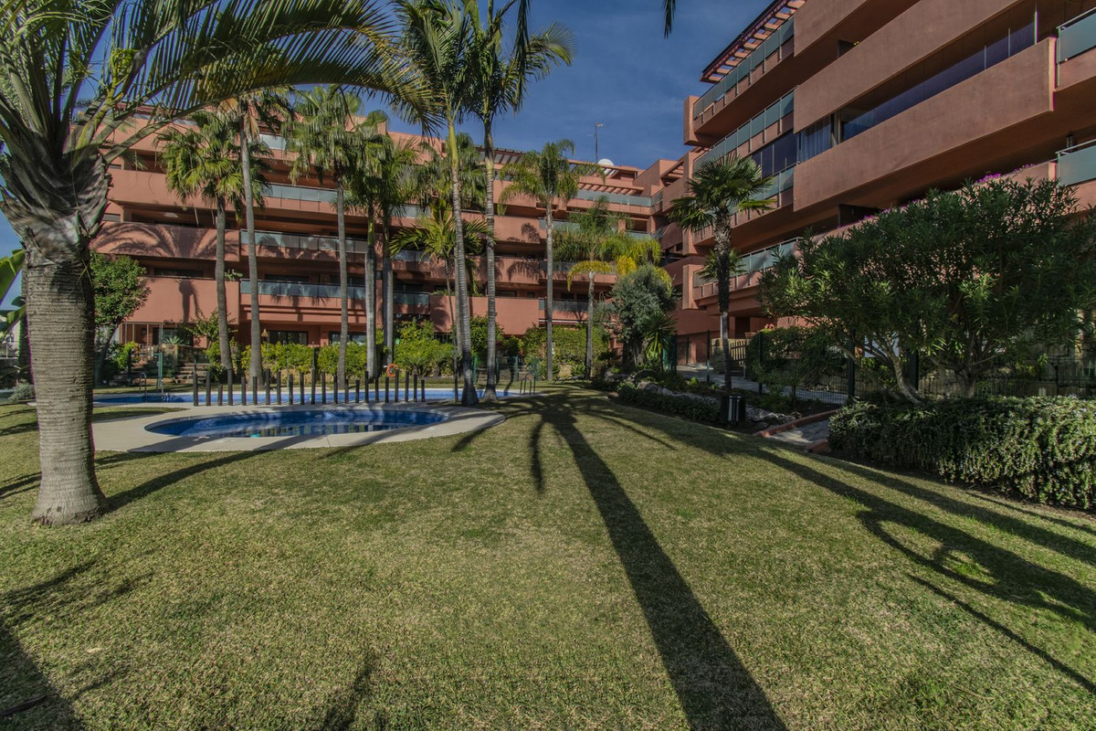 Penthouse in New Golden Mile-30