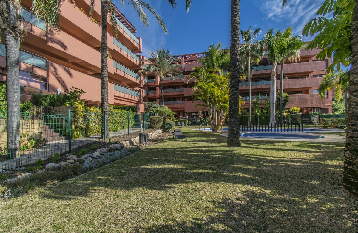 Penthouse in New Golden Mile-41
