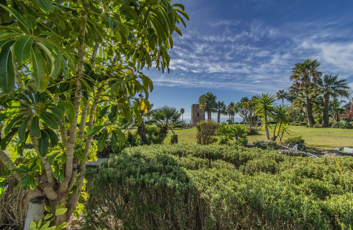 Property main view 30