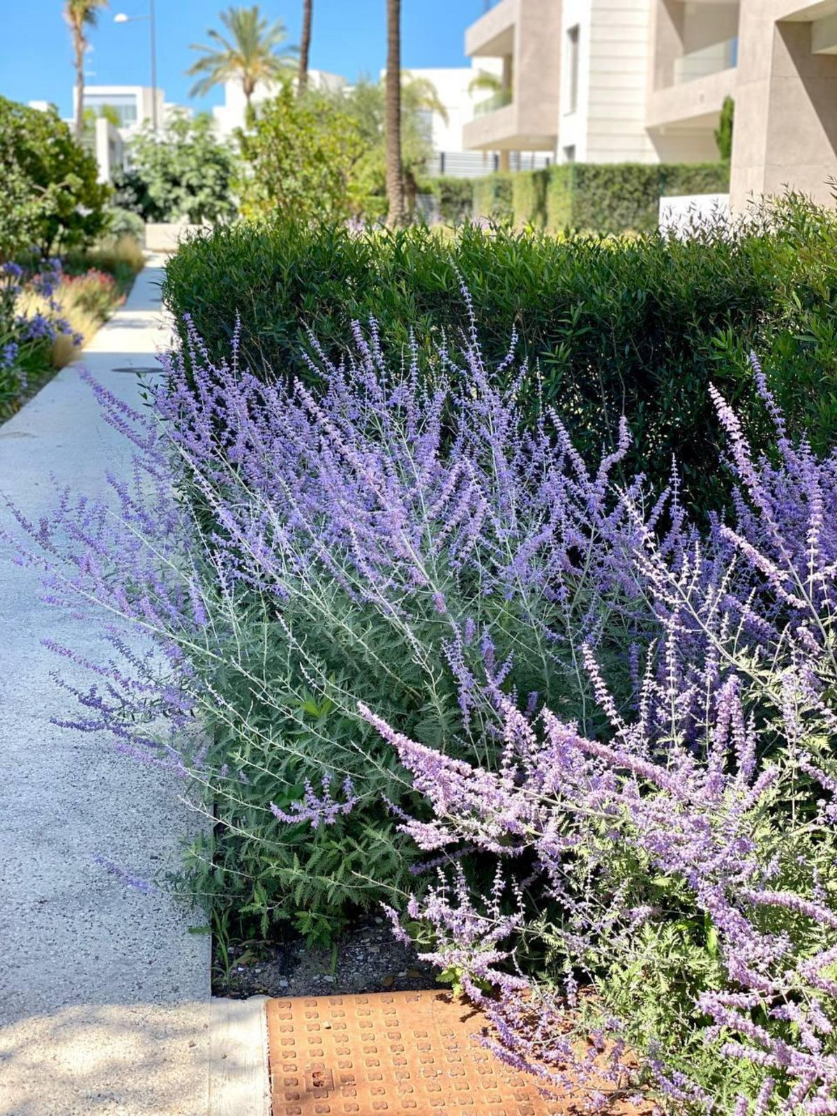 Appartement te koop in New Golden Mile | 2 slaapkamers H5161285