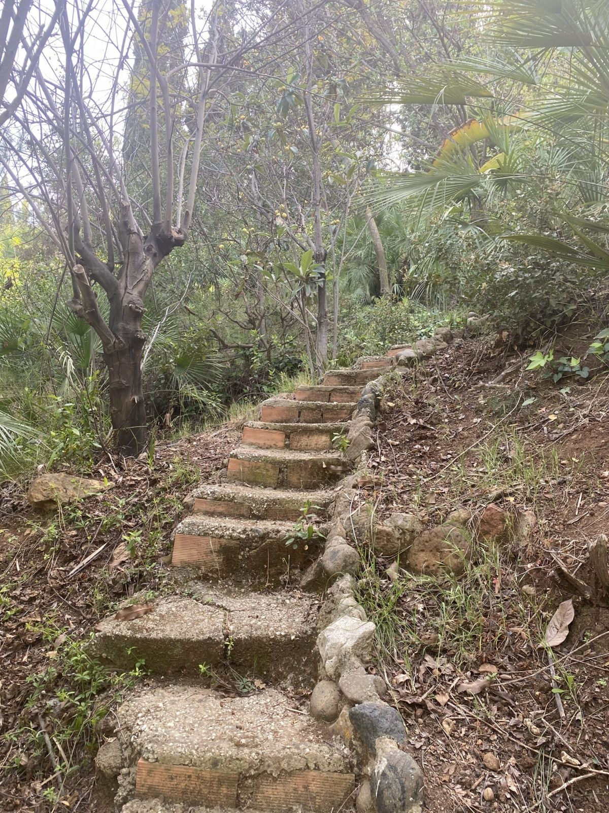 Appartement te koop in New Golden Mile | 6 slaapkamers H5346556