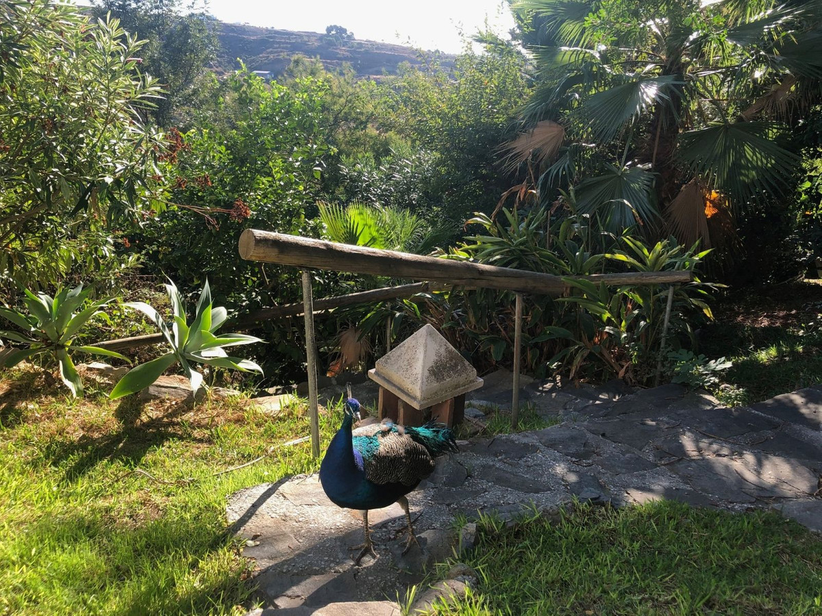 Appartement te koop in New Golden Mile | 6 slaapkamers H5346556