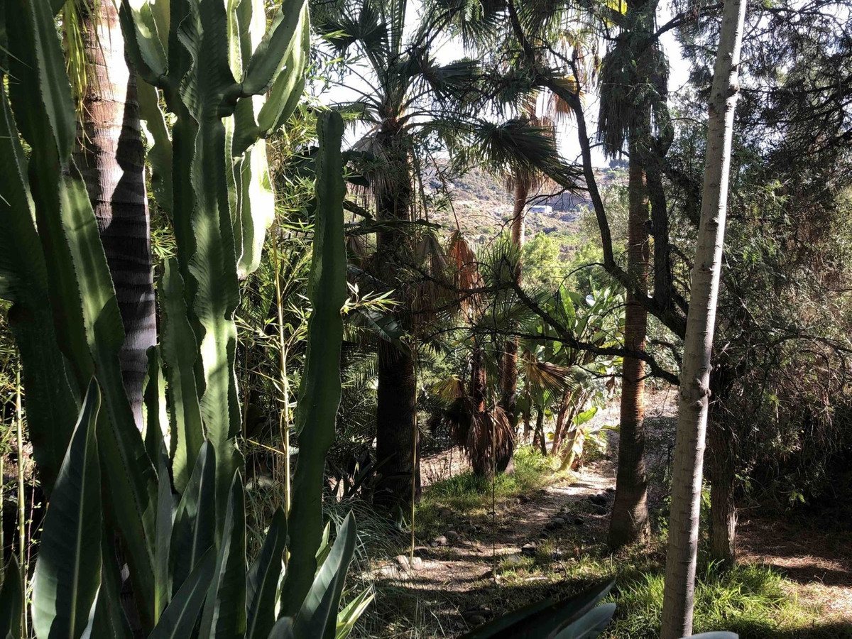 Appartement te koop in New Golden Mile | 6 slaapkamers H5346556