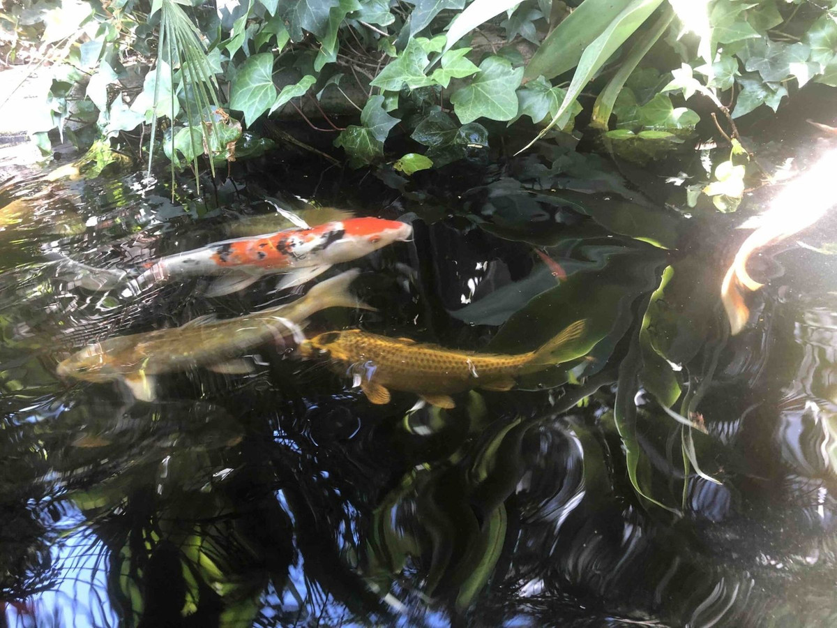 Appartement te koop in New Golden Mile | 6 slaapkamers H5346556