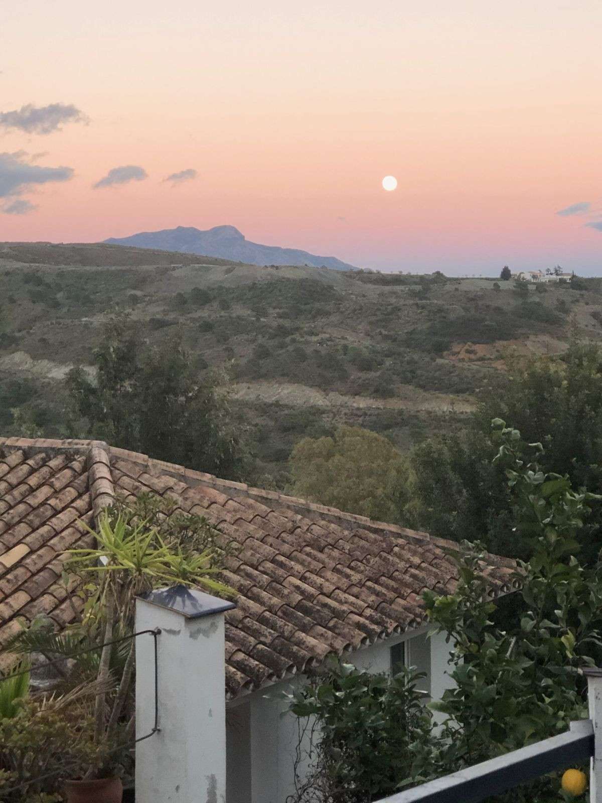 Appartement te koop in New Golden Mile | 6 slaapkamers H5346556