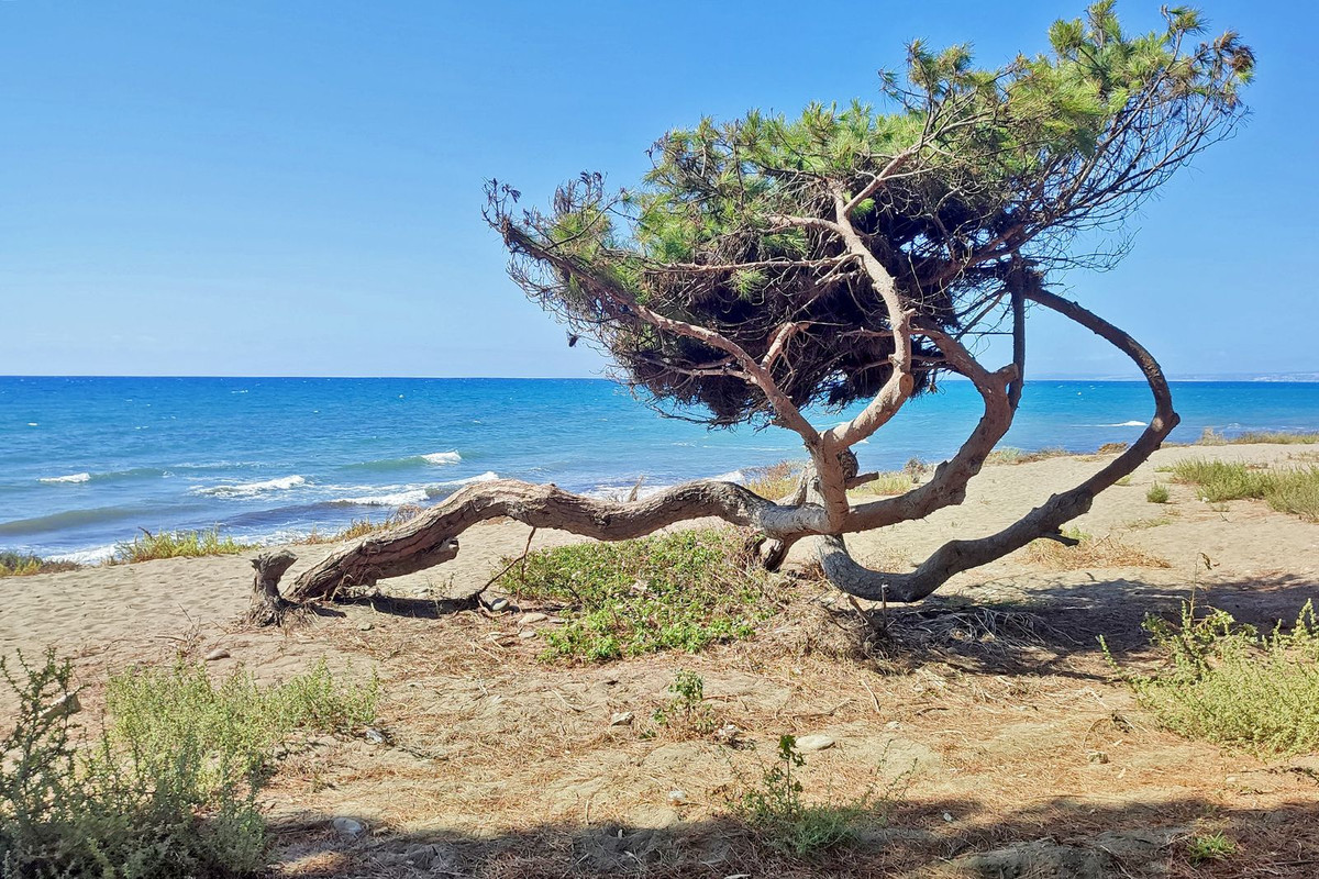 Appartement te koop in New Golden Mile | 4 slaapkamers H5350126