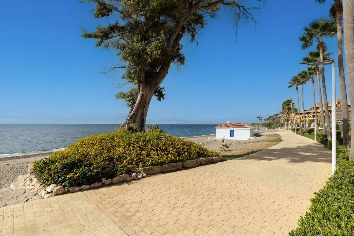 Property main view 62