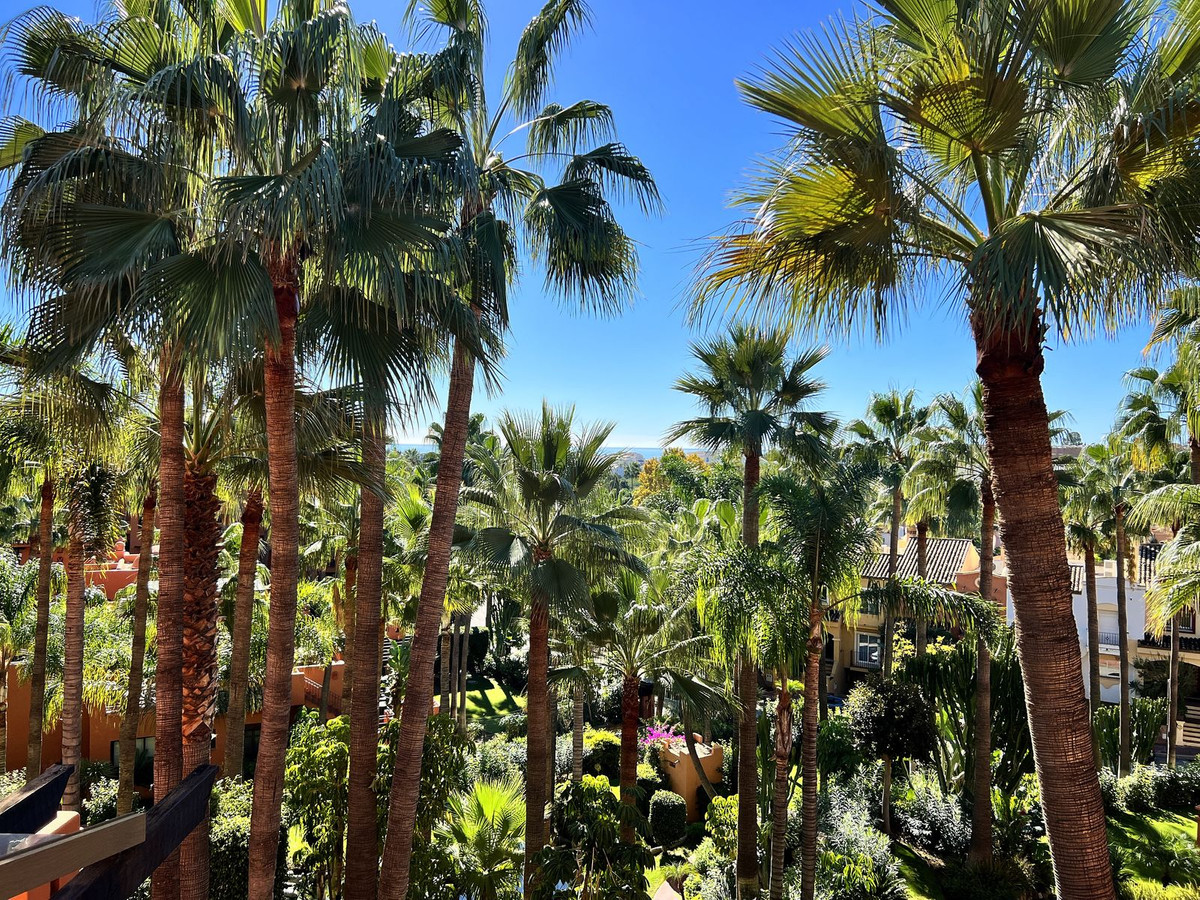 Property main view 23