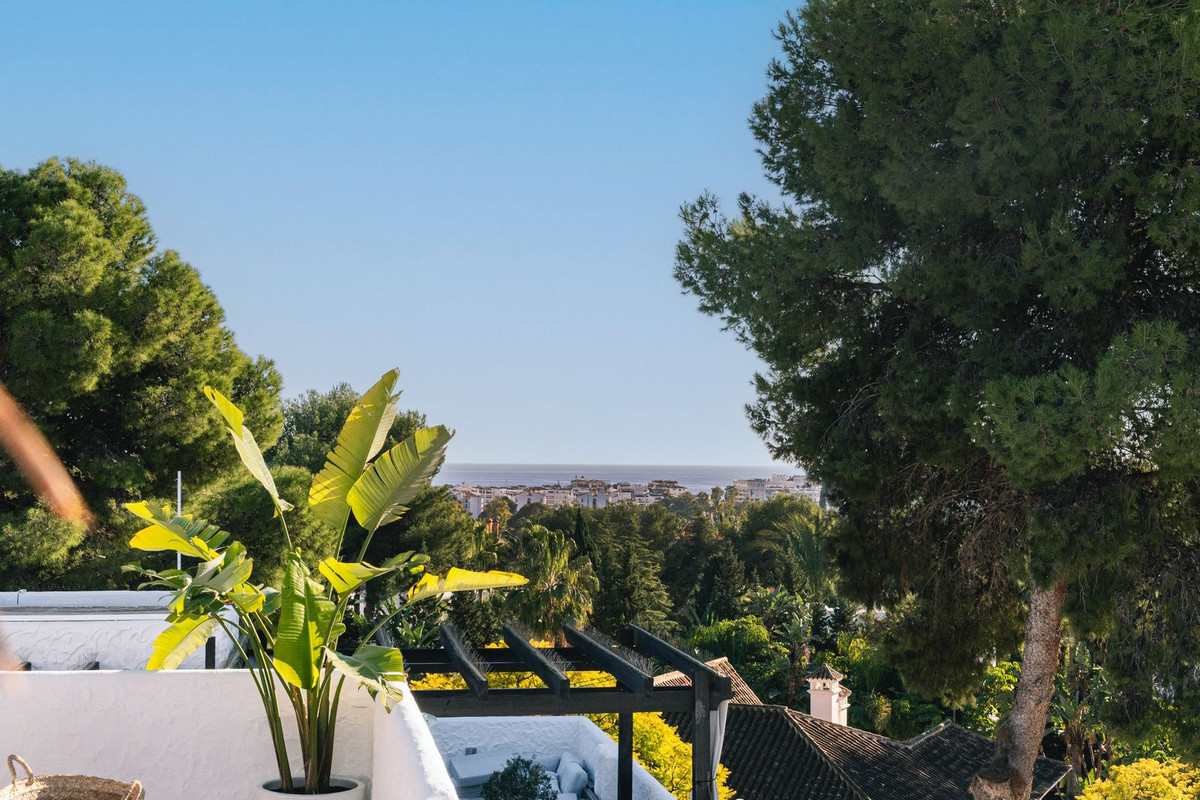 Property main view 19