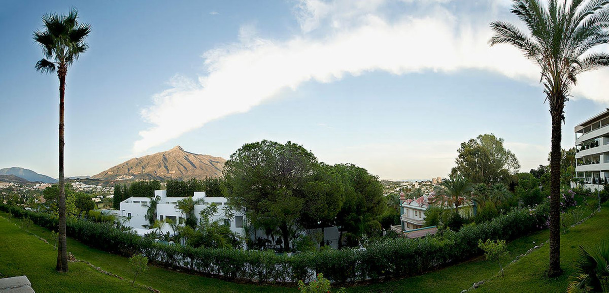 Property main view 12