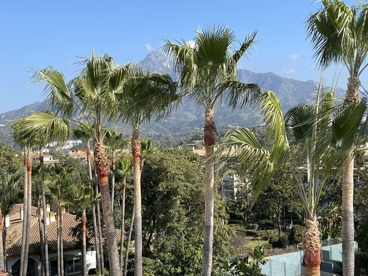 Property main view 2