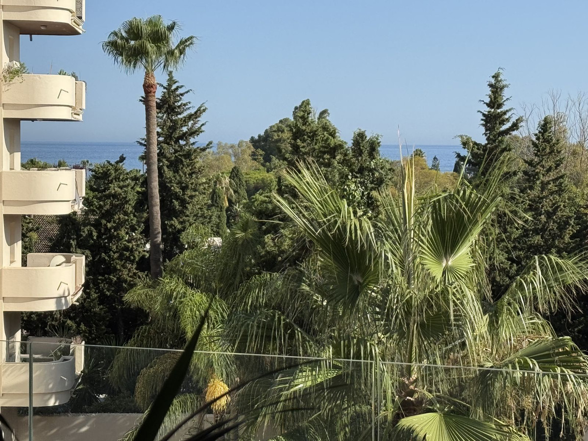 Property main view 24