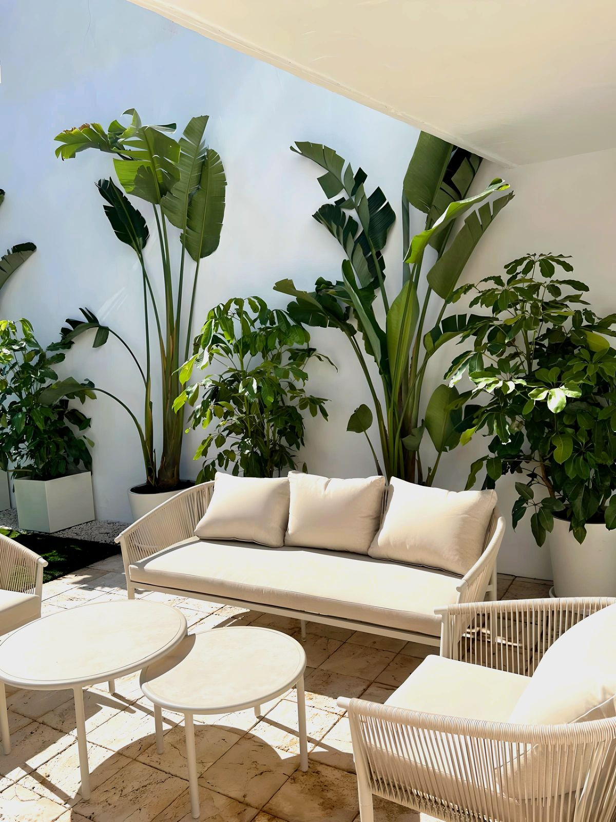 Property main view 2