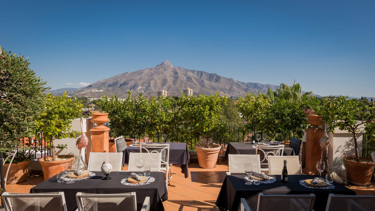 Property main view 41