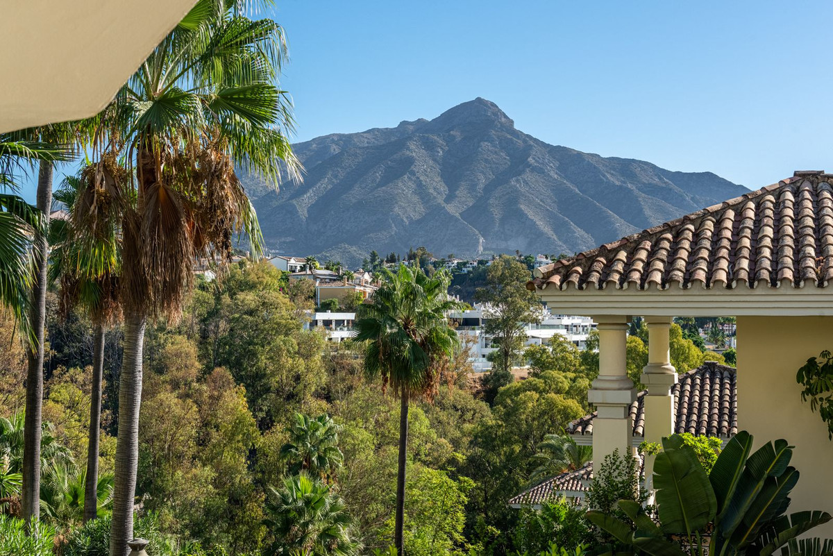 Property main view 15