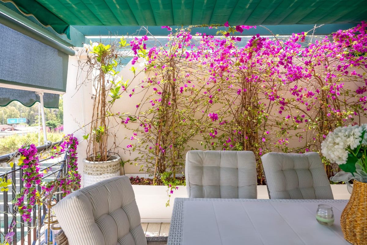 Property main view 28