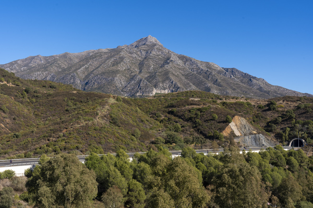 Property main view 28