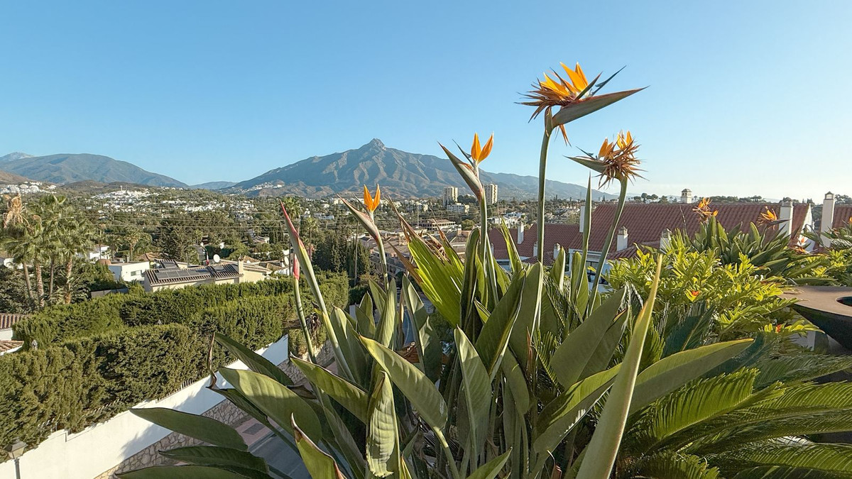 Property main view 23