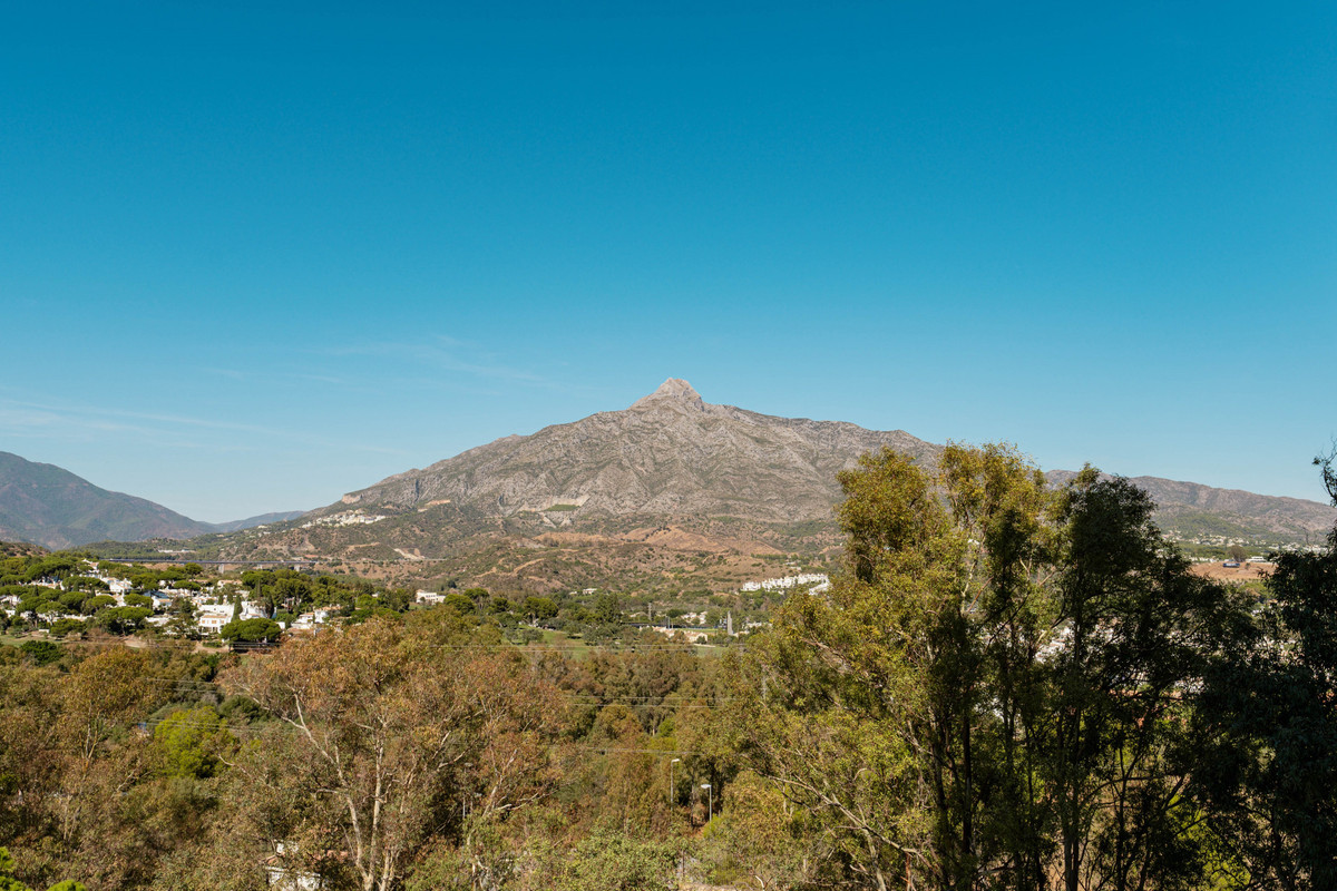 Property main view 12