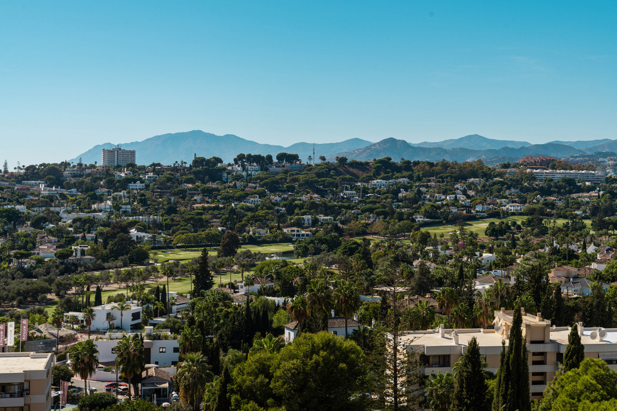 Property main view 16