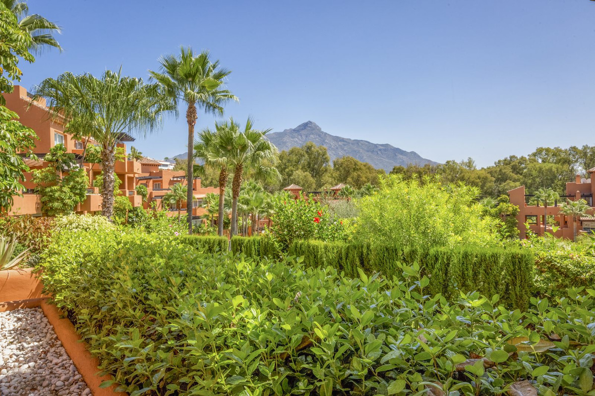 Property main view 49