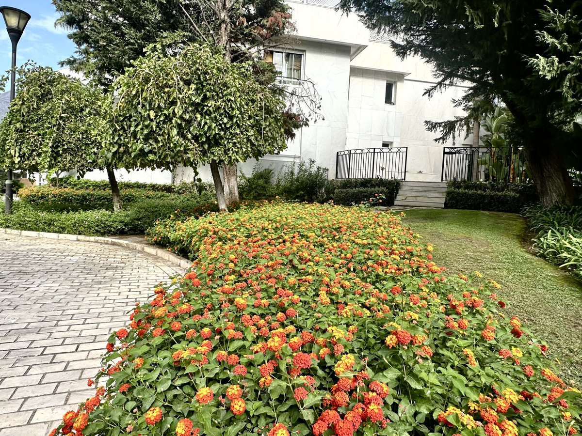 Property main view 65