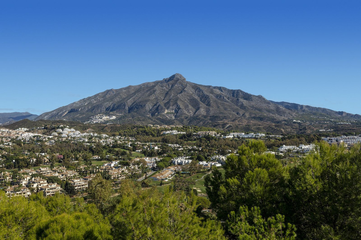 Property main view 2