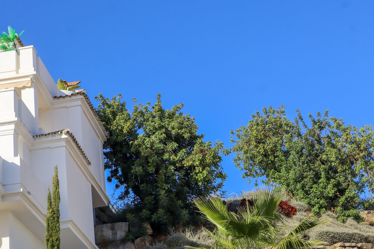 Property main view 78