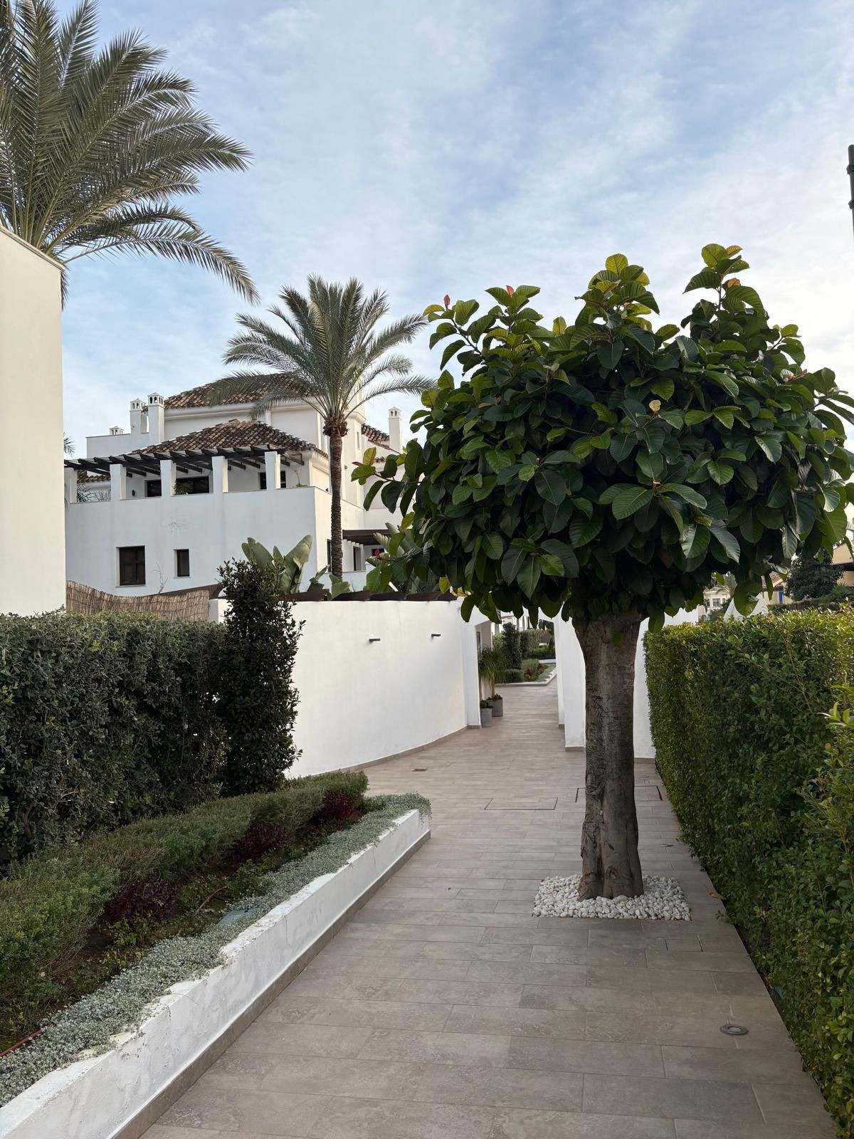 Appartement te koop in Nueva Andalucía | 2 slaapkamers H5261206