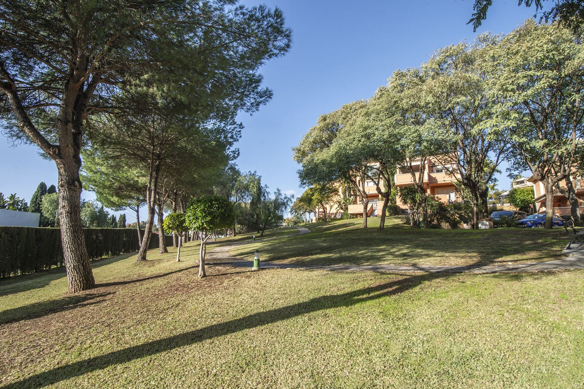 Property main view 37