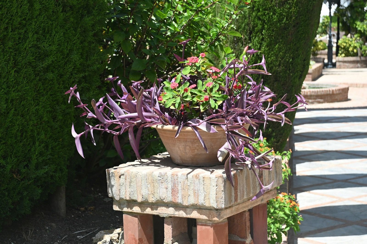 Appartement te koop in Nueva Andalucía | 2 slaapkamers H5315641