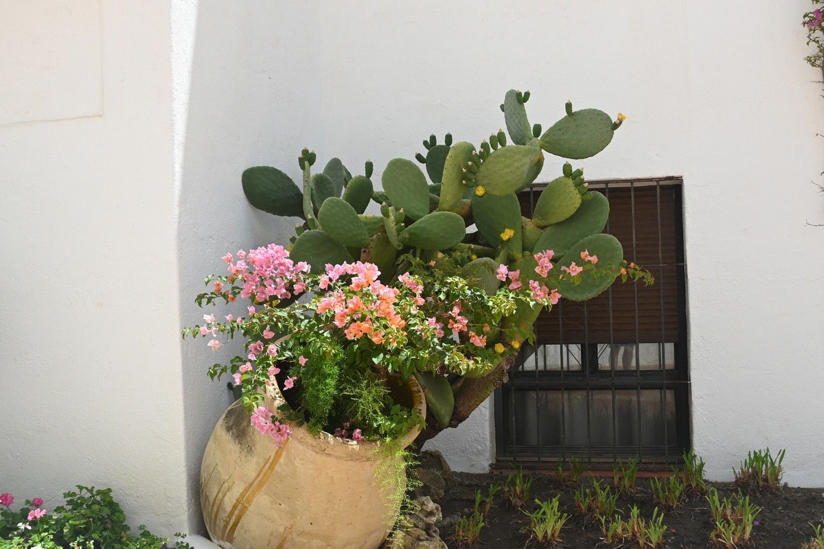 Appartement te koop in Nueva Andalucía | 2 slaapkamers H5315641