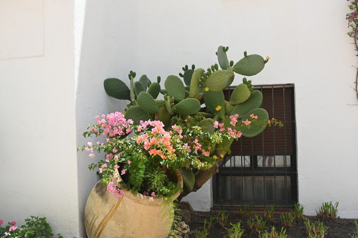 Appartement te koop in Nueva Andalucía | 2 slaapkamers H5315641