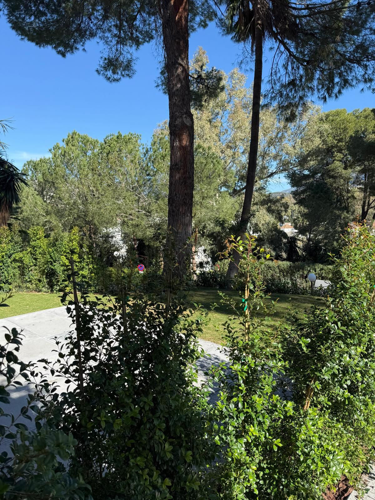 Appartement te koop in Nueva Andalucía | 1 slaapkamers H5316055