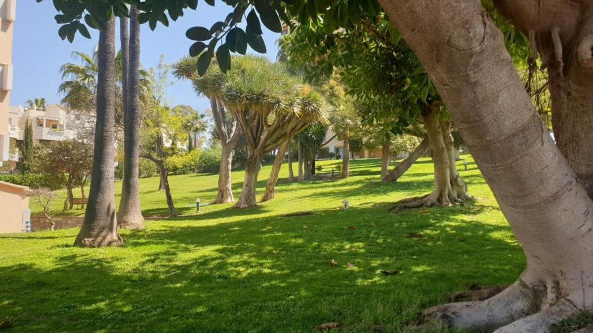 Property main view 6