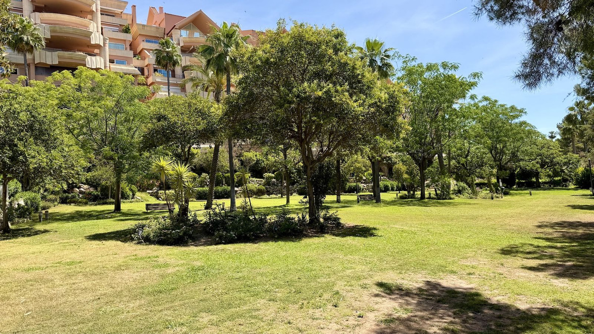 Property main view 19