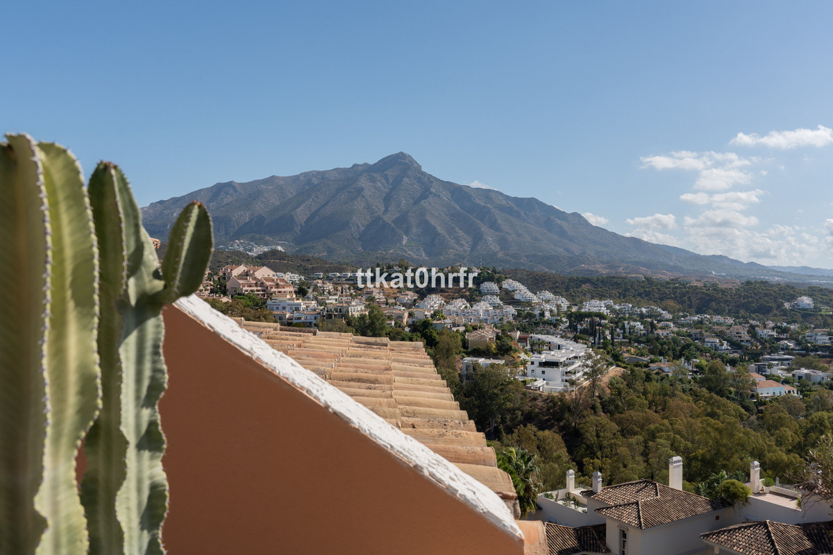 Property main view 18