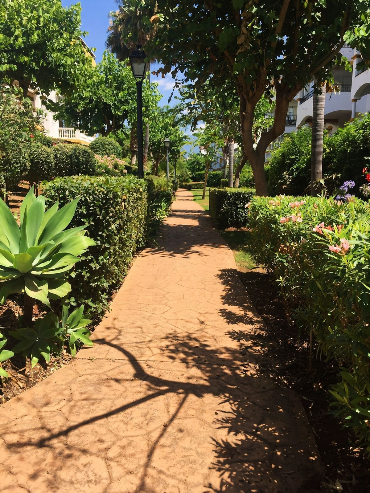 Appartement te koop in Nueva Andalucía | 2 slaapkamers H5506510