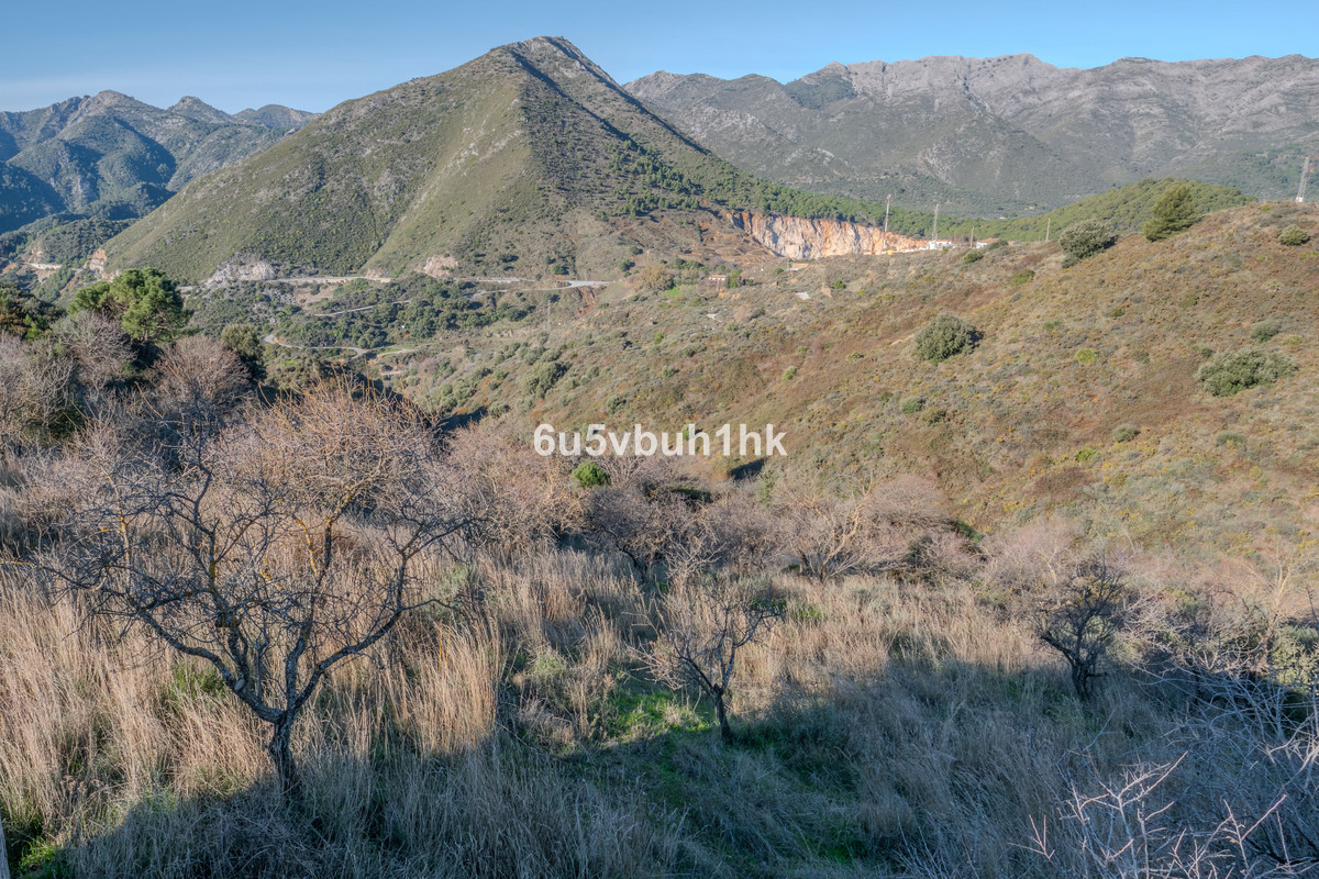 Grond te koop in Ojén | 0 slaapkamers H5292481