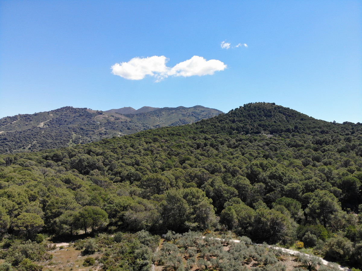 Property main view 23