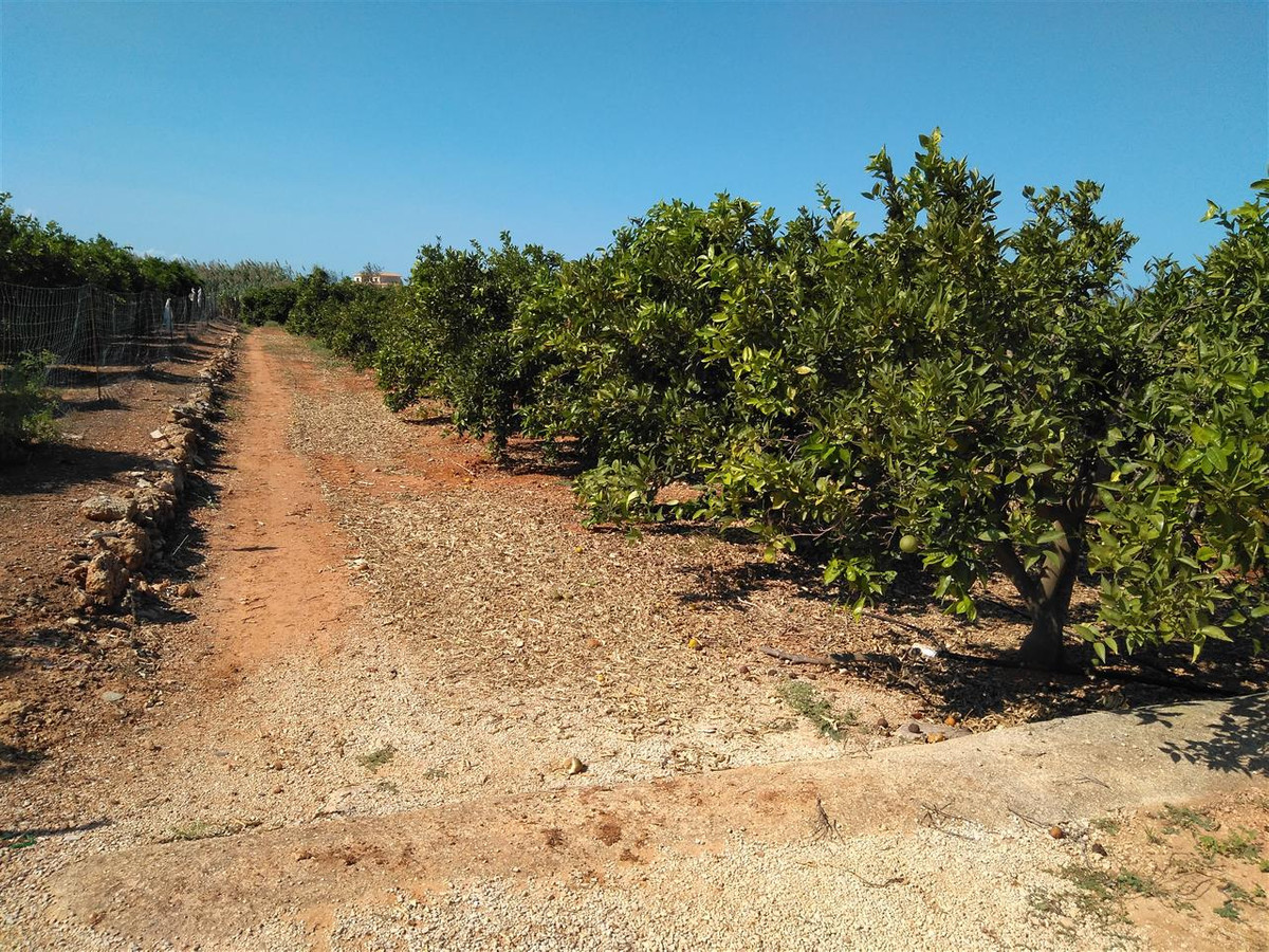 Grond te koop in Ondara | 0 slaapkamers H5473204