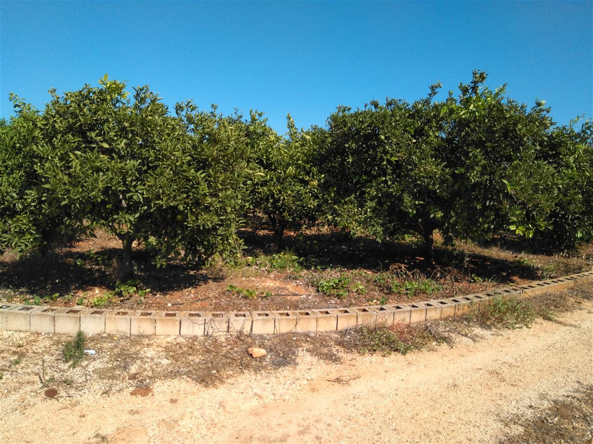 Grond te koop in Ondara | 0 slaapkamers H5473204