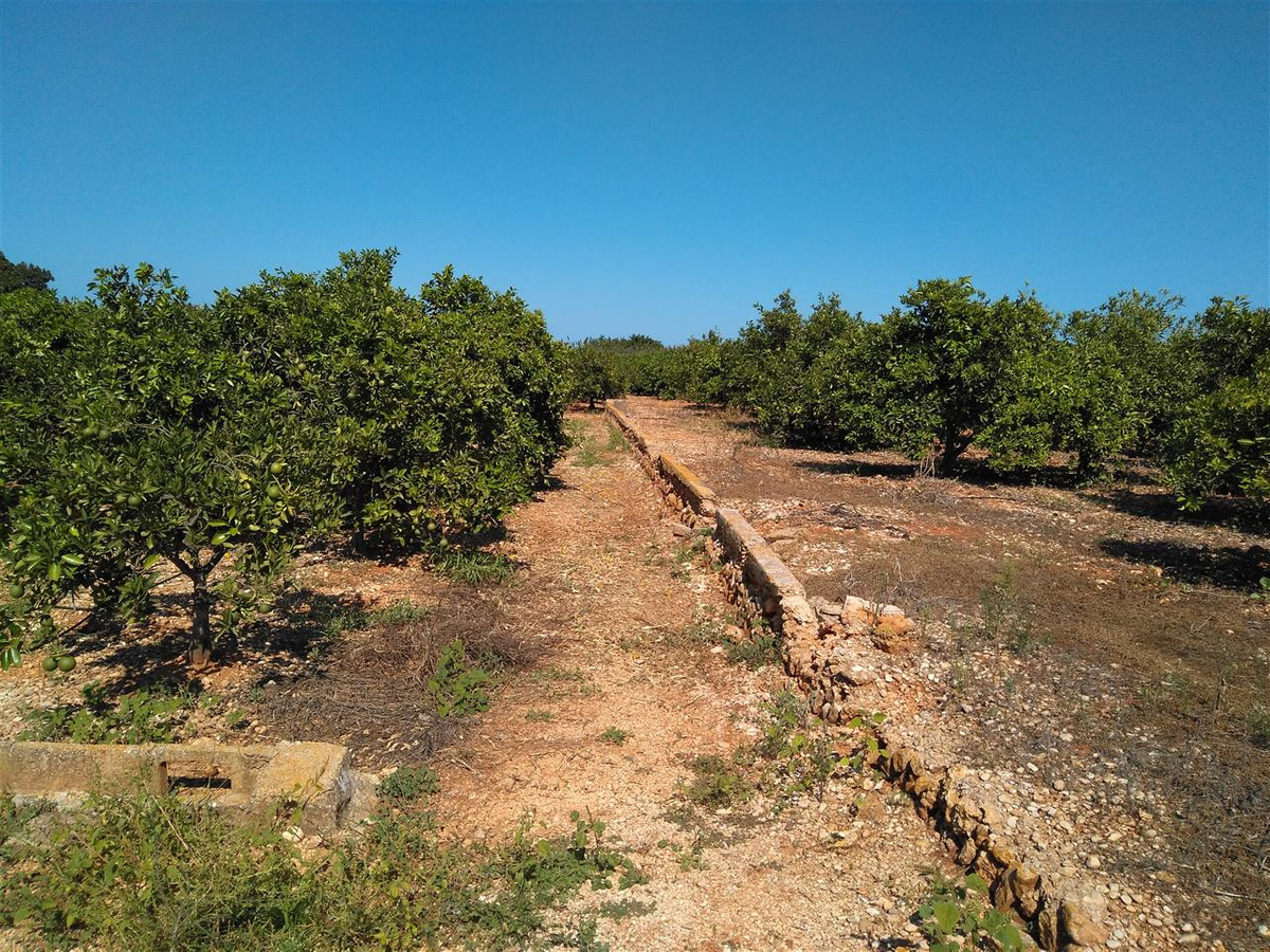Grond te koop in Ondara | 0 slaapkamers H5473204