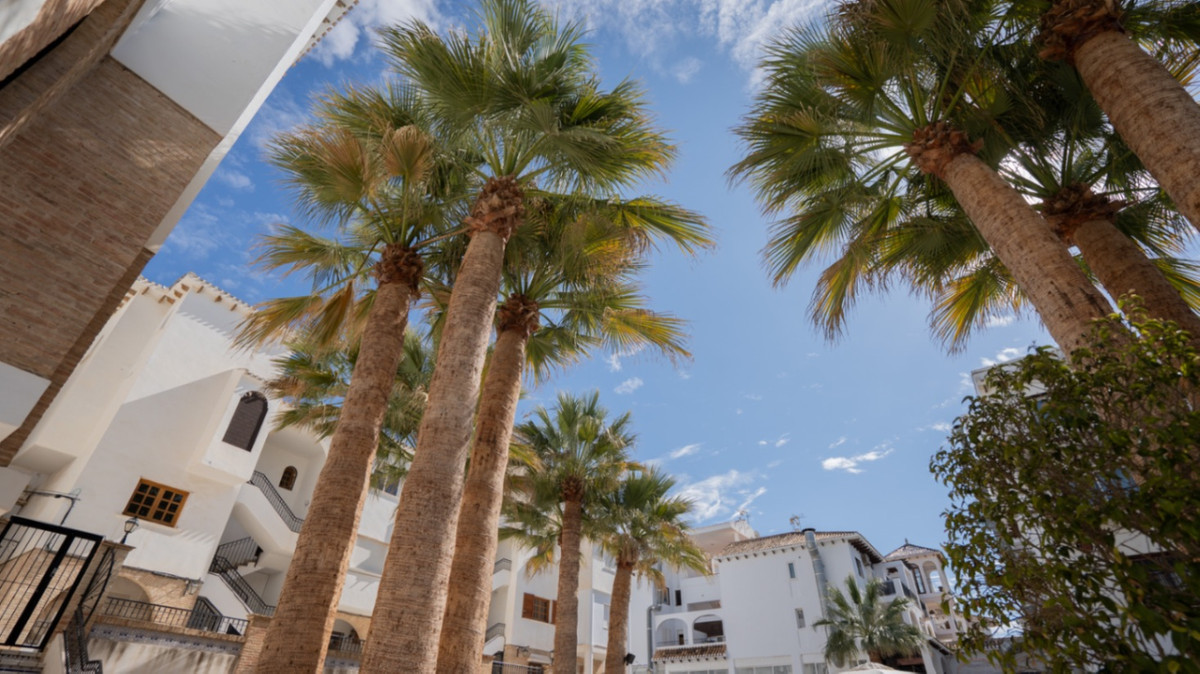 Property main view 22