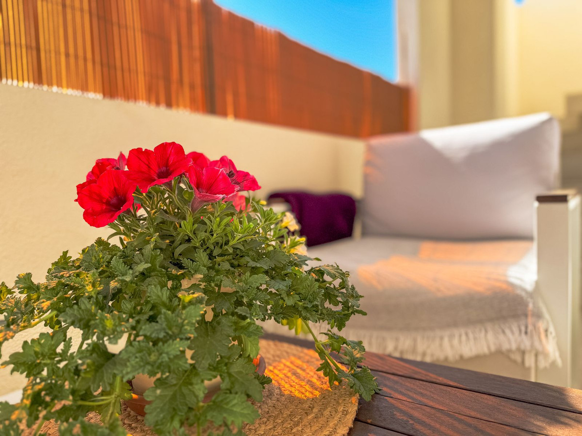 Property main view 18