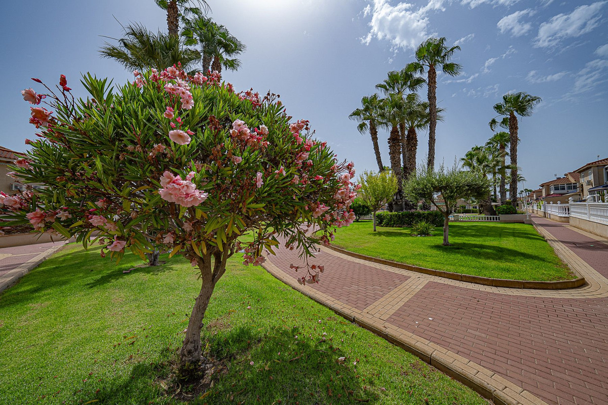 Property main view 26