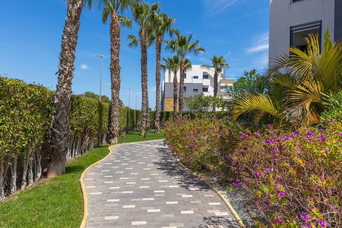 Property main view 30