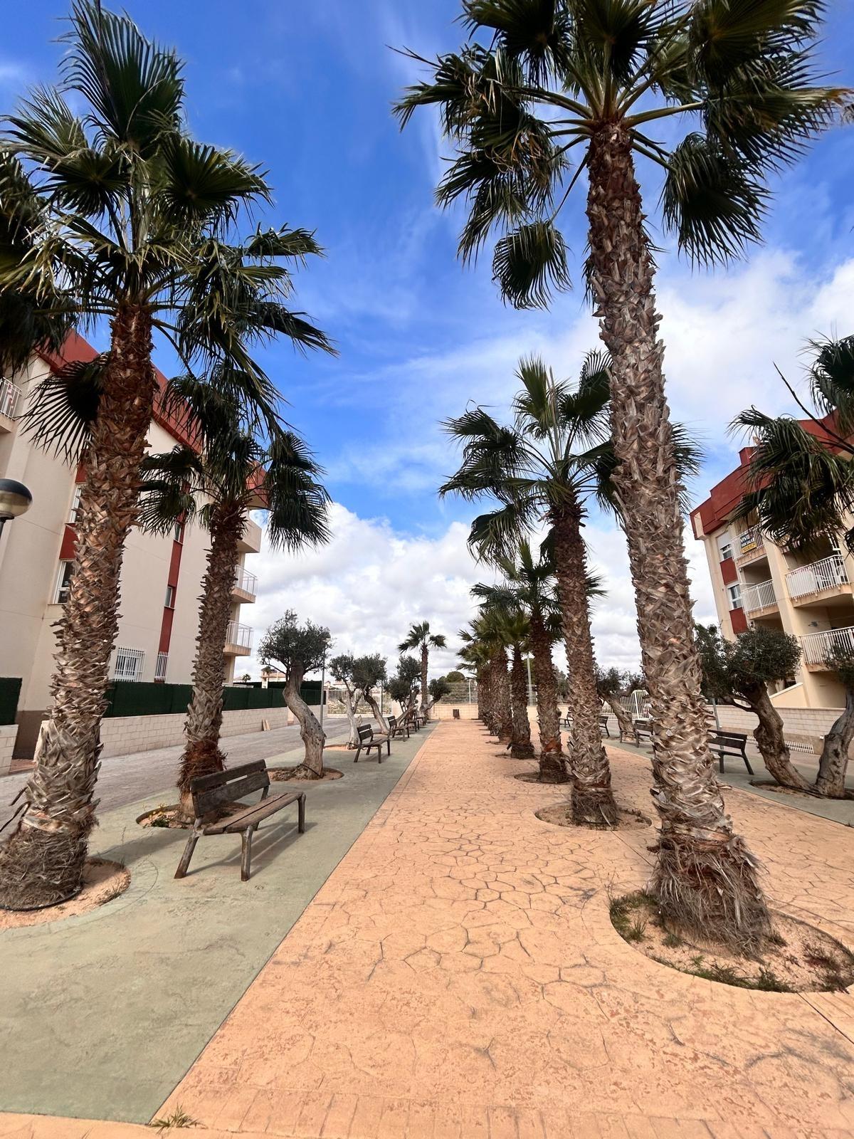 Nieuwbouw in Orihuela Costa-23